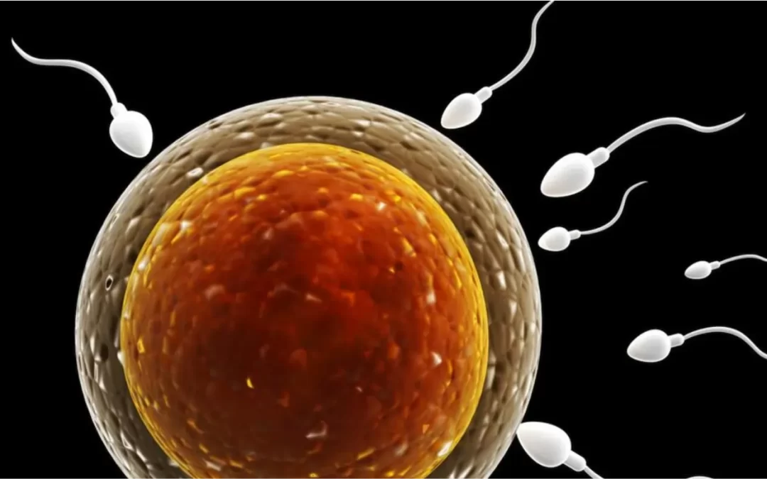 ¿La cantidad de óvulos está relacionada con la edad?