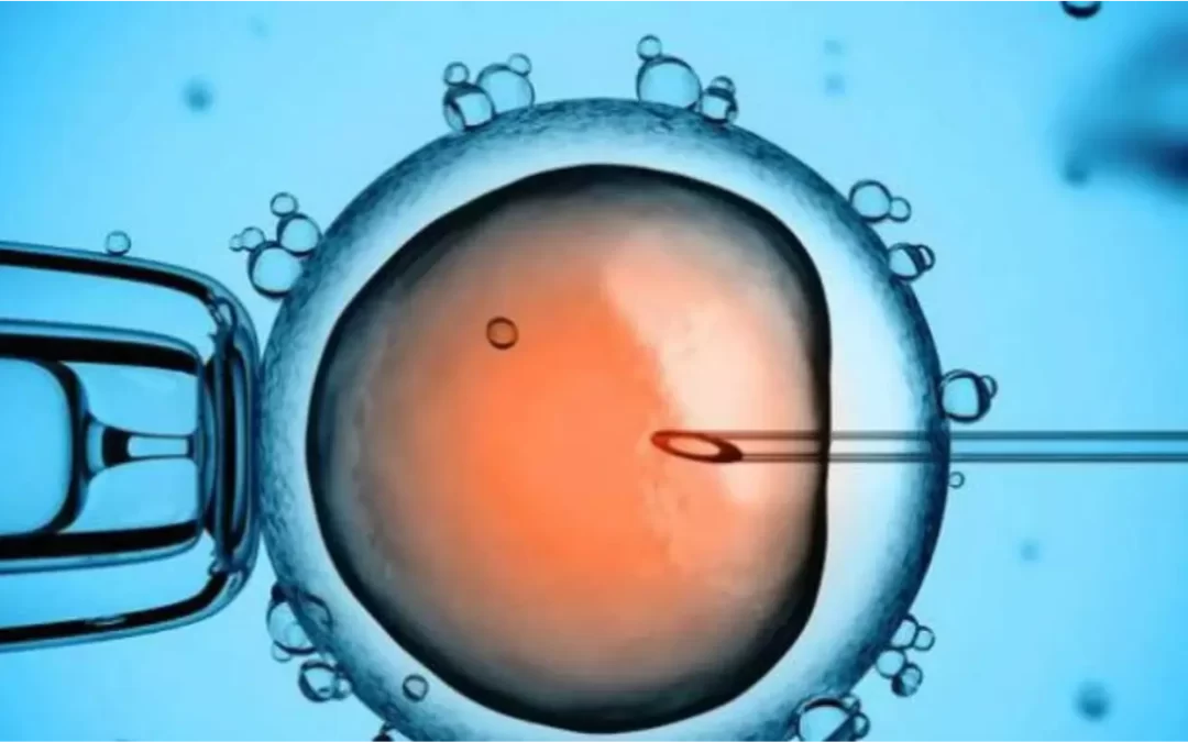 ¿Qué es la Fertilización In Vitro (FIV) y cuándo se recomienda?