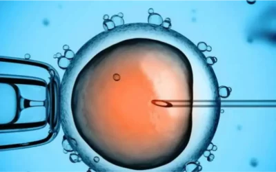 ¿Qué es la Fertilización In Vitro (FIV) y cuándo se recomienda?